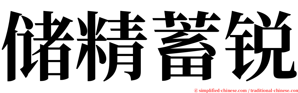 储精蓄锐 serif font