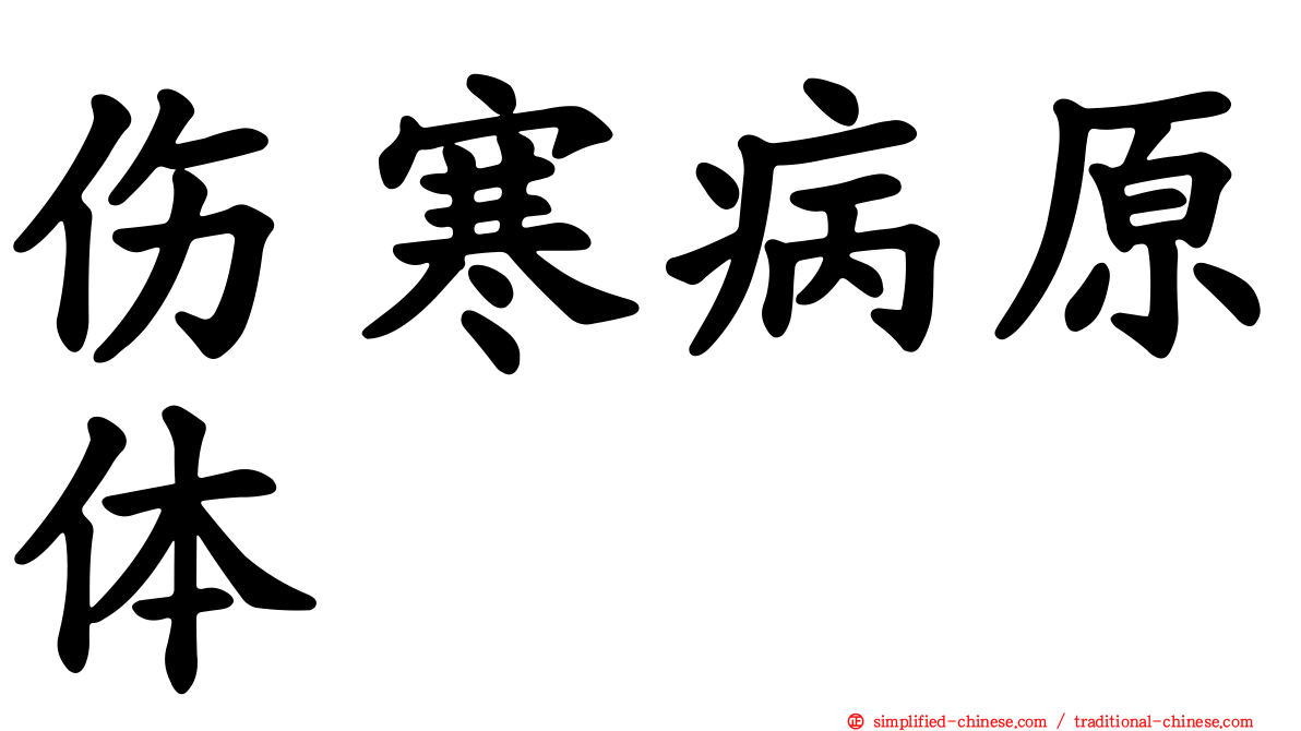伤寒病原体