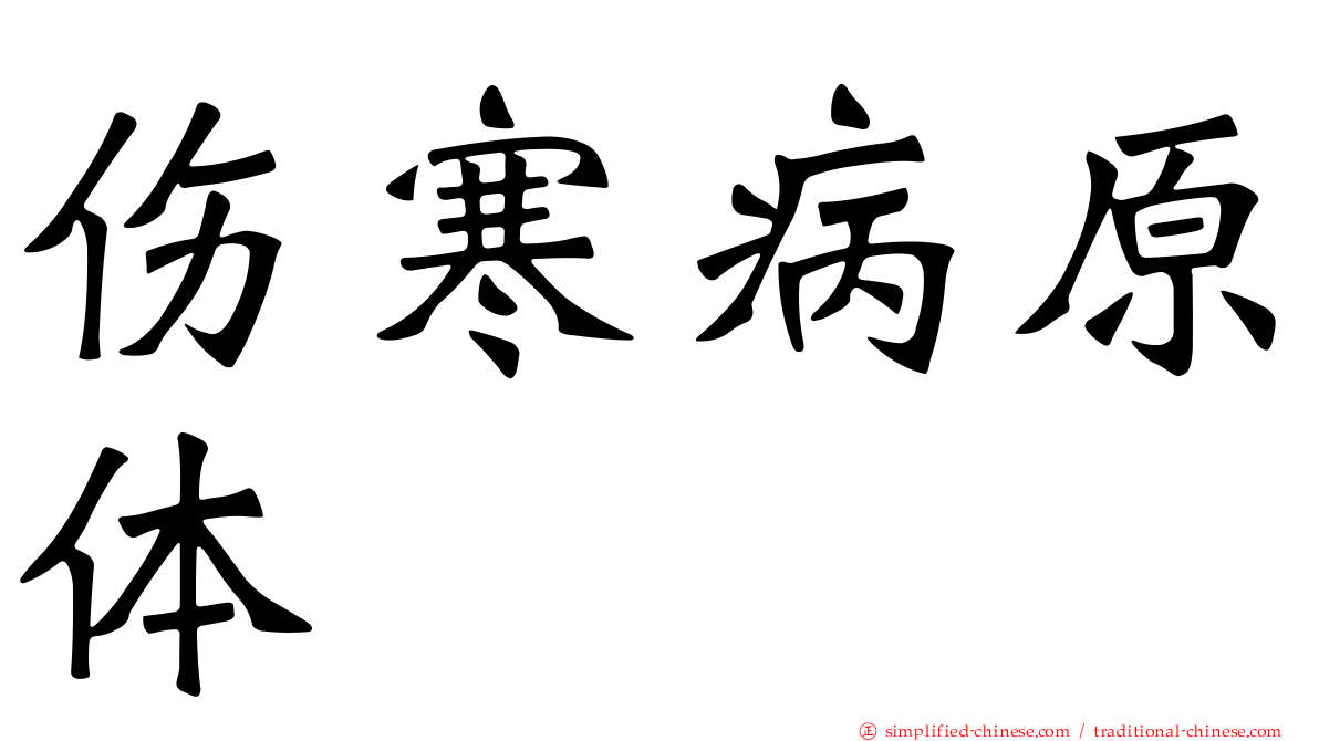 伤寒病原体