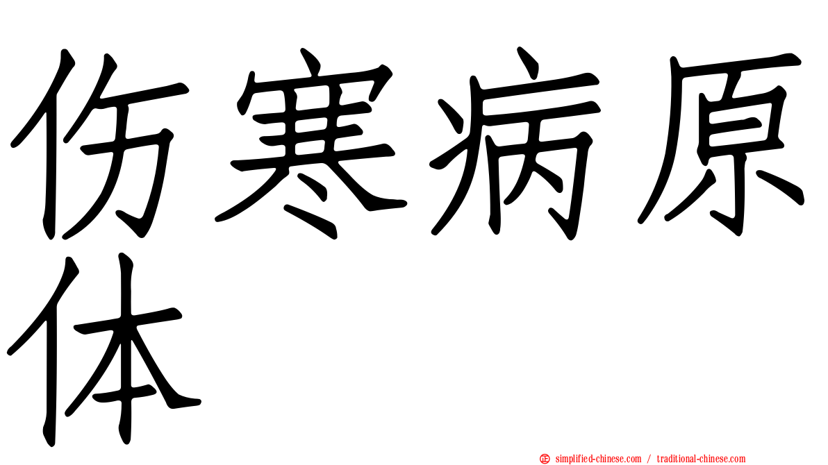 伤寒病原体