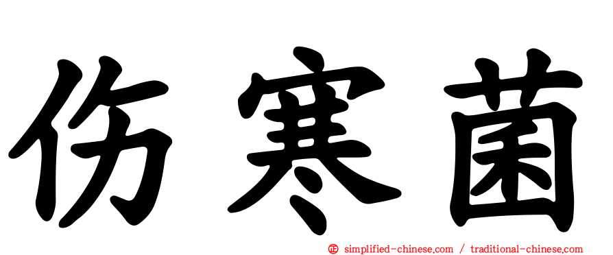 伤寒菌