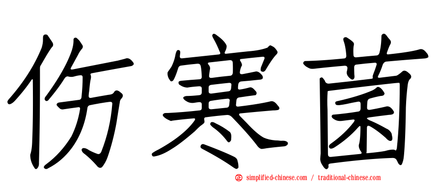 伤寒菌