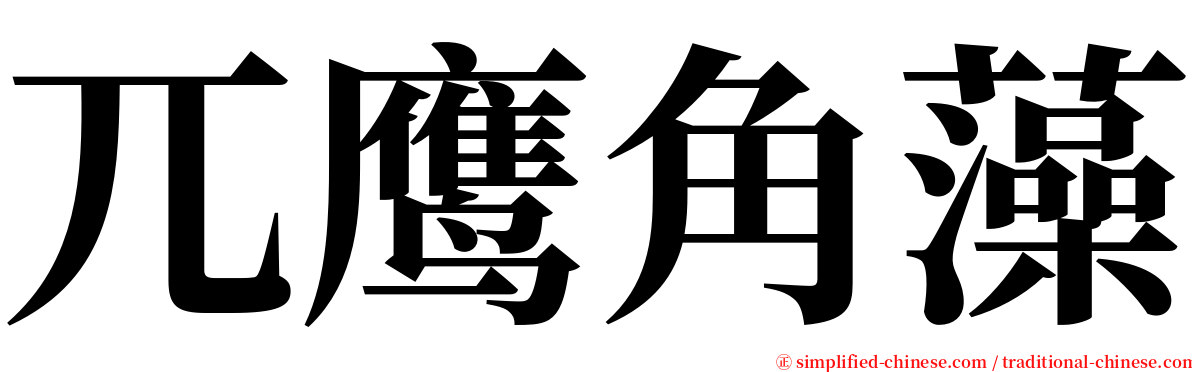 兀鹰角藻 serif font