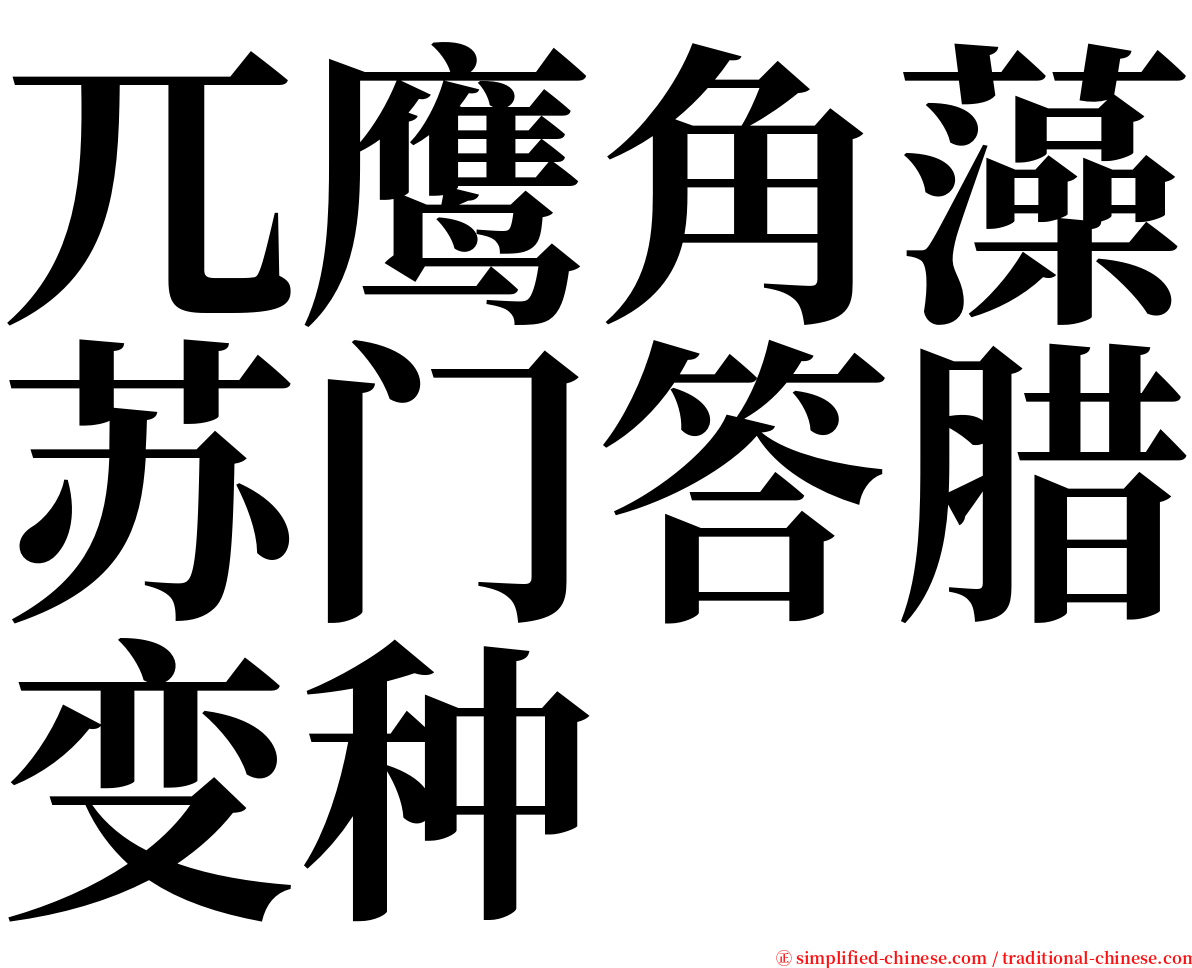 兀鹰角藻苏门答腊变种 serif font