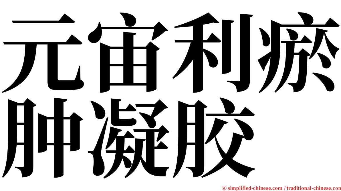 元宙利瘀肿凝胶 serif font