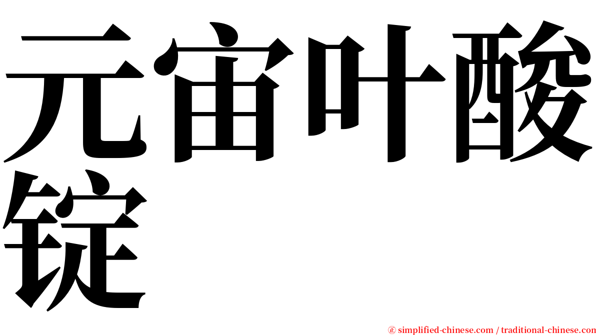 元宙叶酸锭 serif font