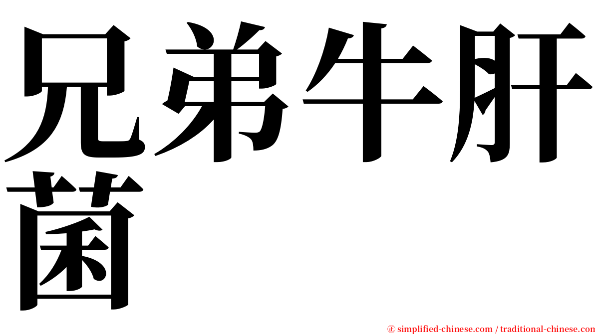 兄弟牛肝菌 serif font