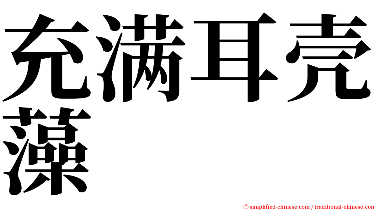 充满耳壳藻 serif font