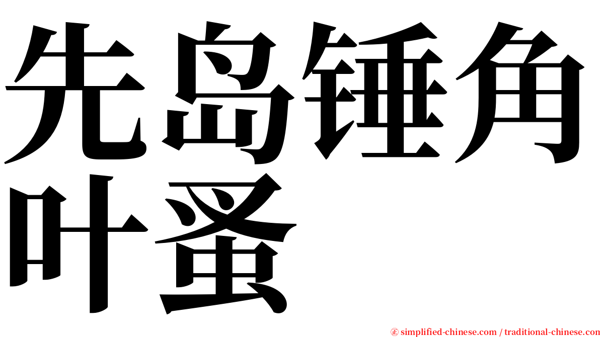 先岛锤角叶蚤 serif font