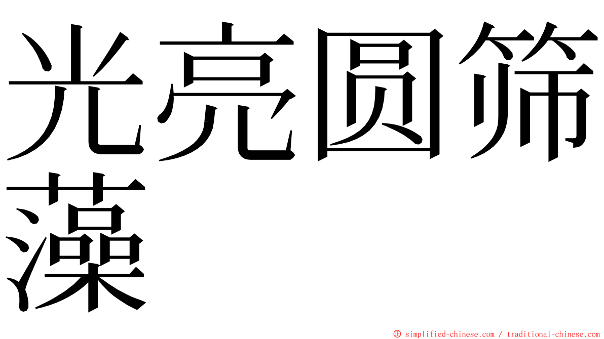 光亮圆筛藻 ming font