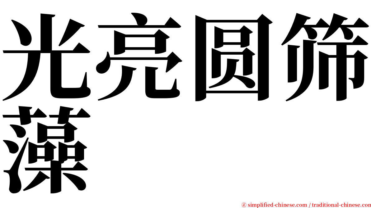 光亮圆筛藻 serif font