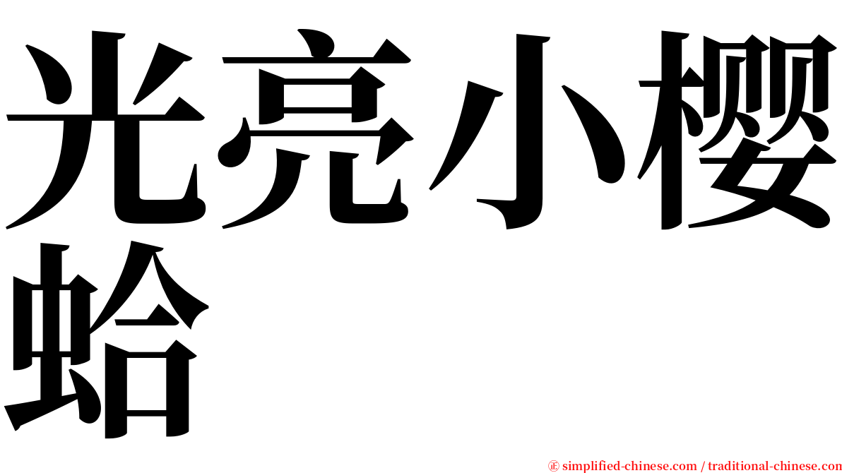 光亮小樱蛤 serif font