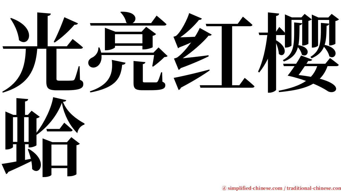 光亮红樱蛤 serif font