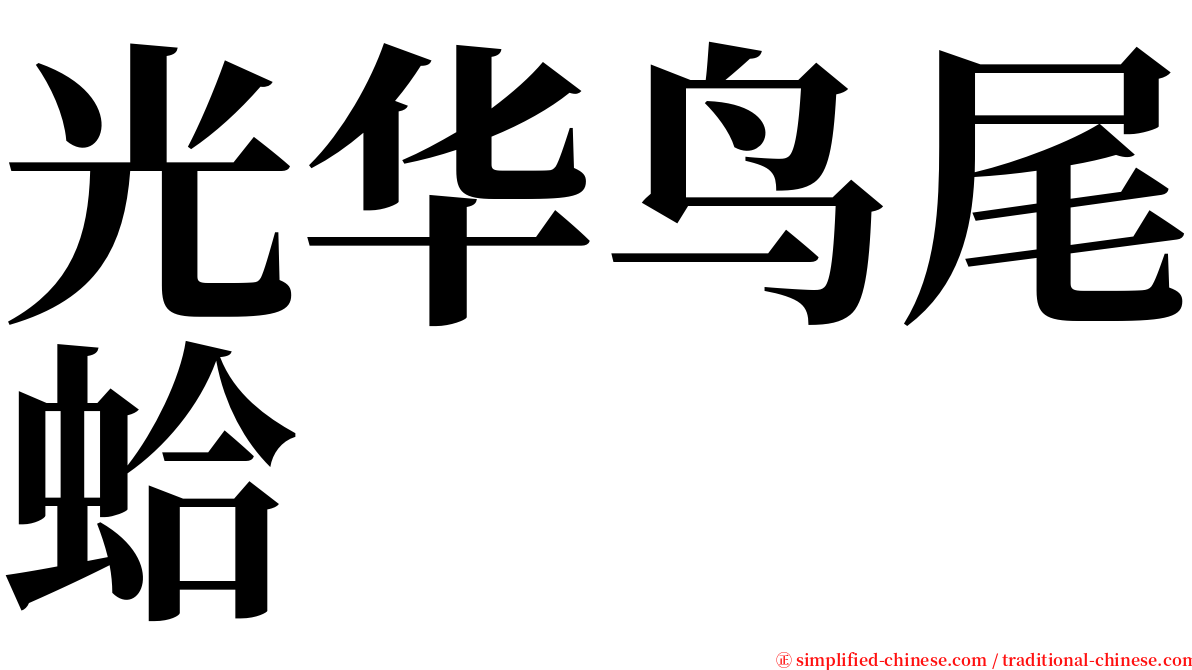 光华鸟尾蛤 serif font