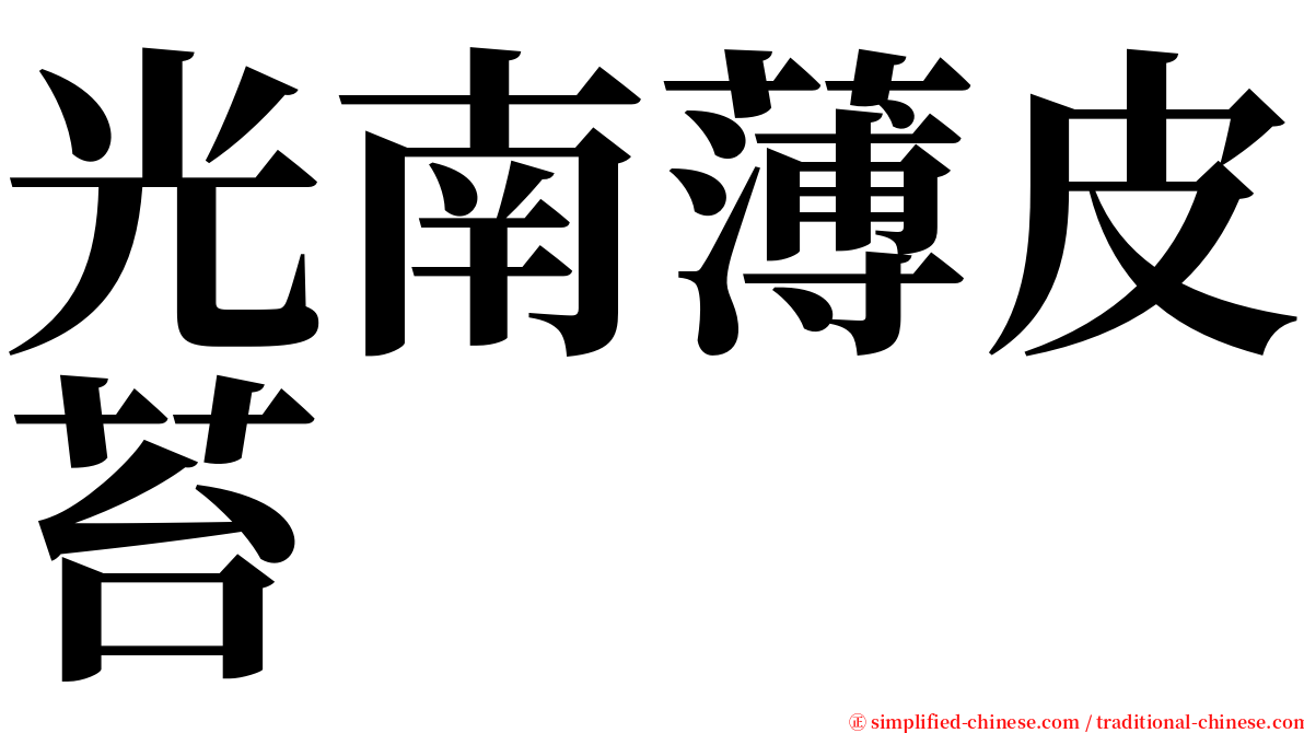 光南薄皮苔 serif font