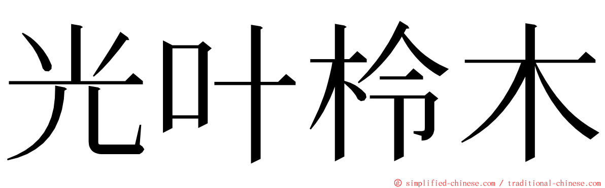 光叶柃木 ming font