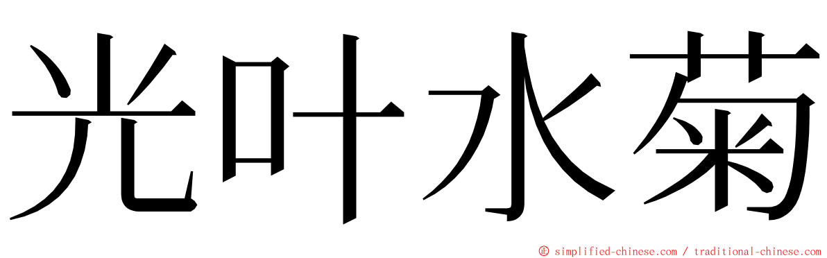 光叶水菊 ming font