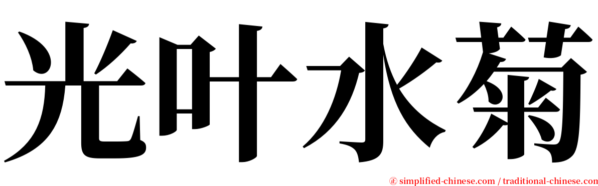 光叶水菊 serif font