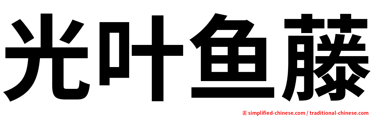 光叶鱼藤