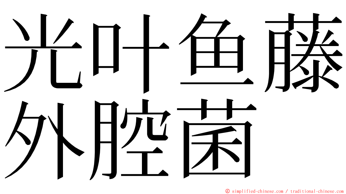 光叶鱼藤外腔菌 ming font
