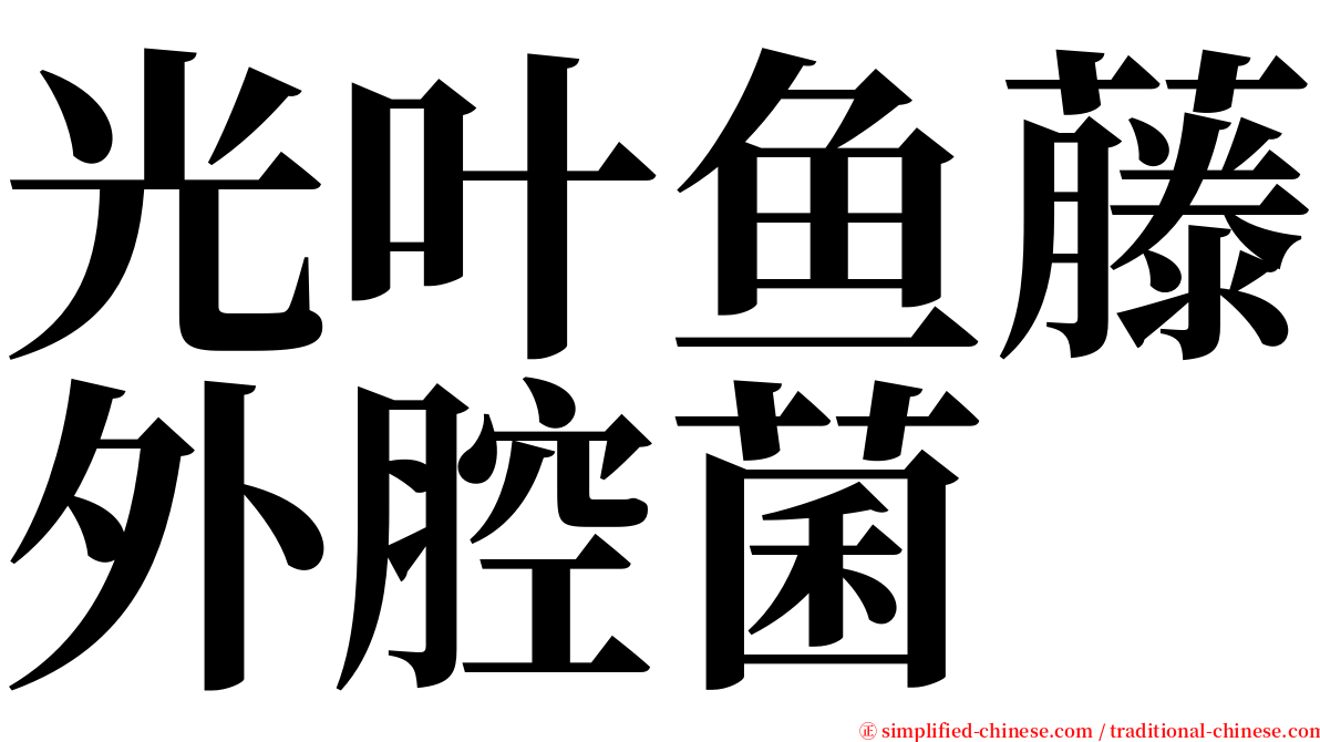 光叶鱼藤外腔菌 serif font
