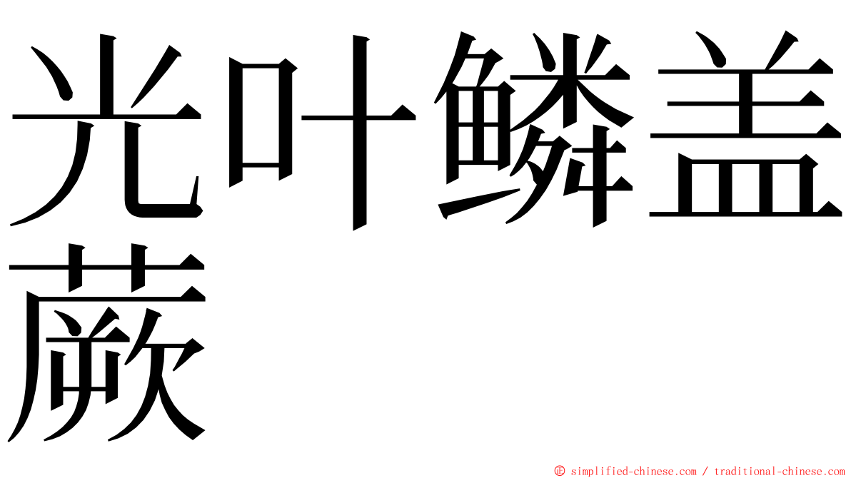 光叶鳞盖蕨 ming font