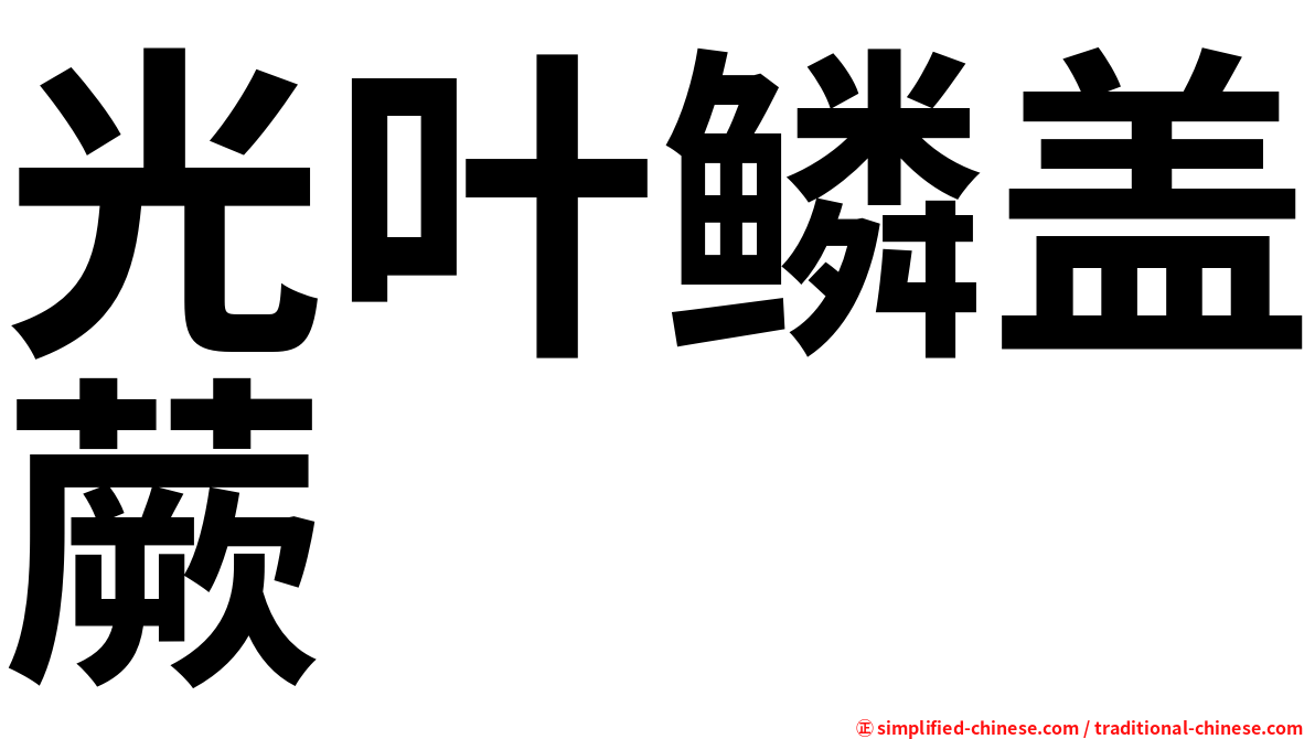 光叶鳞盖蕨