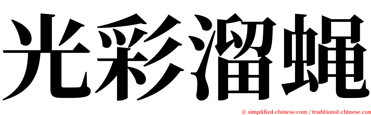 光彩溜蝇 serif font