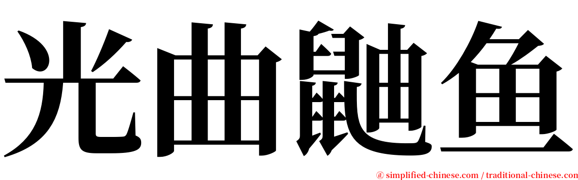 光曲鼬鱼 serif font