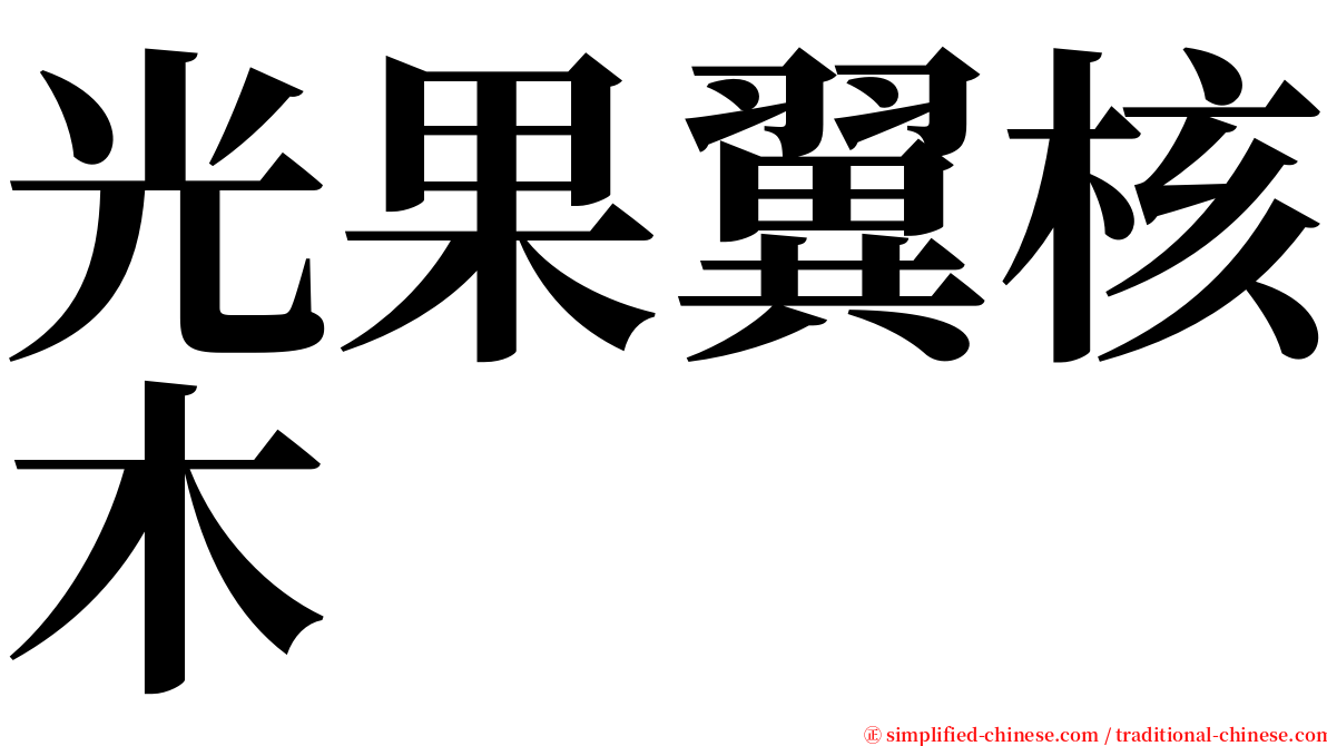 光果翼核木 serif font