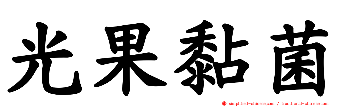 光果黏菌