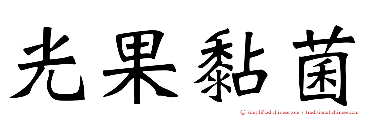 光果黏菌