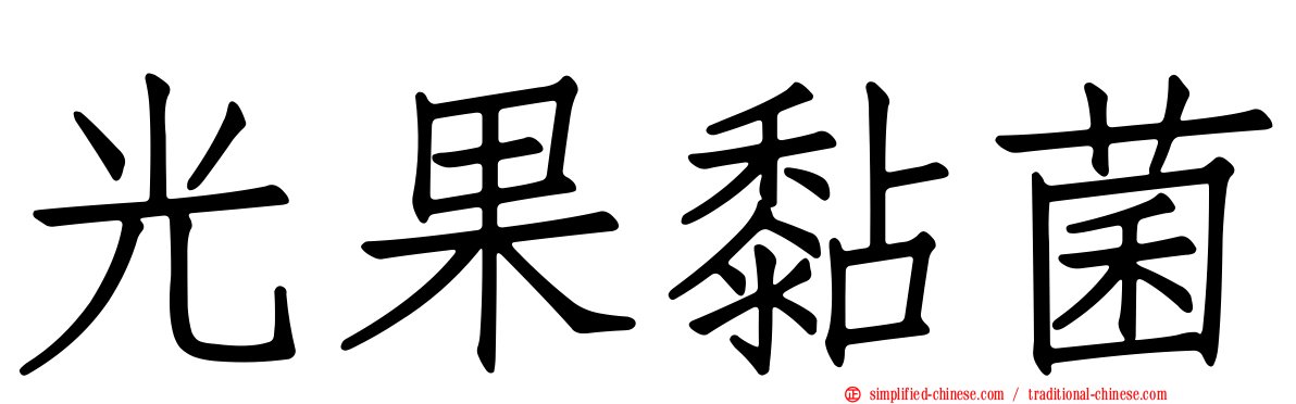 光果黏菌