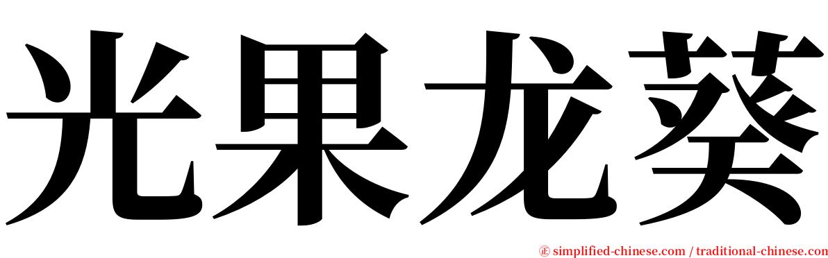 光果龙葵 serif font