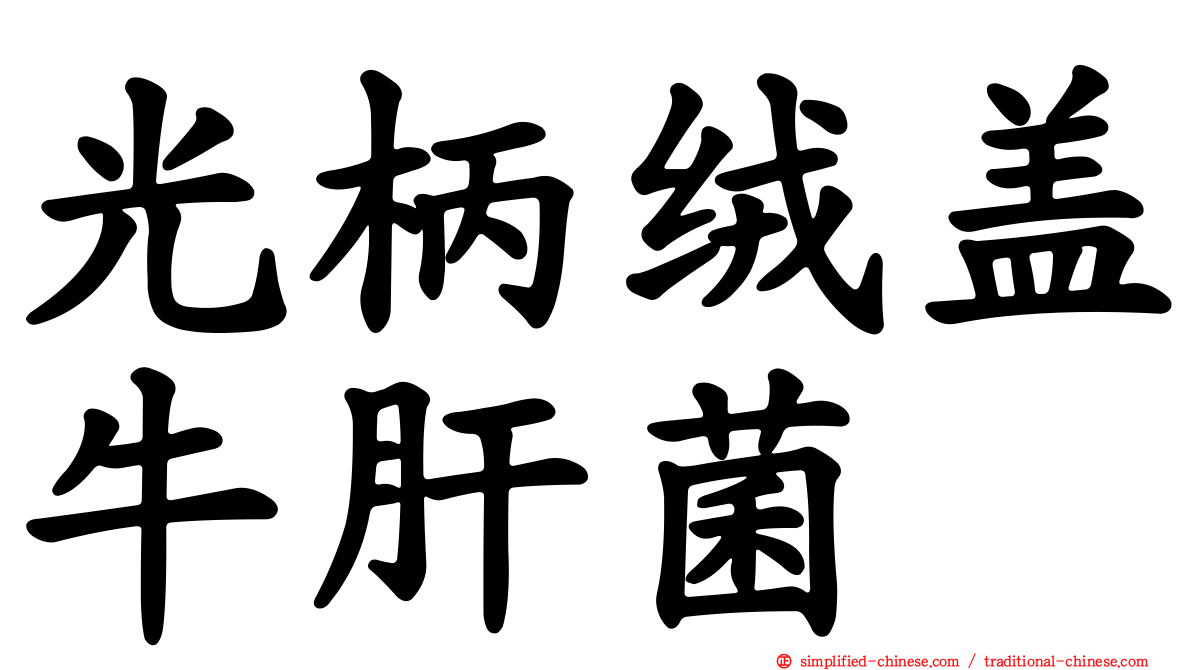 光柄绒盖牛肝菌