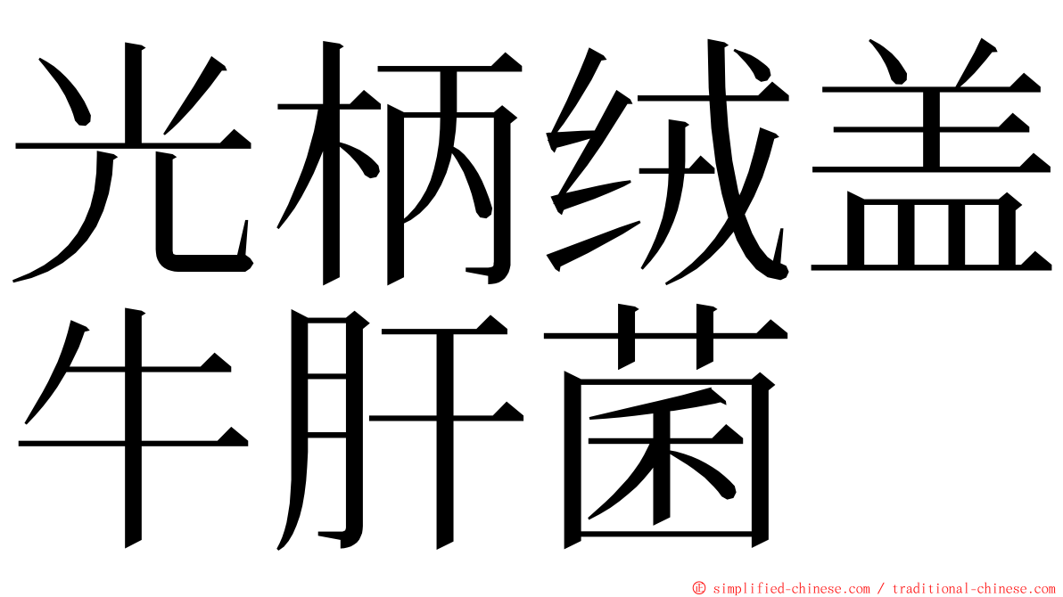 光柄绒盖牛肝菌 ming font