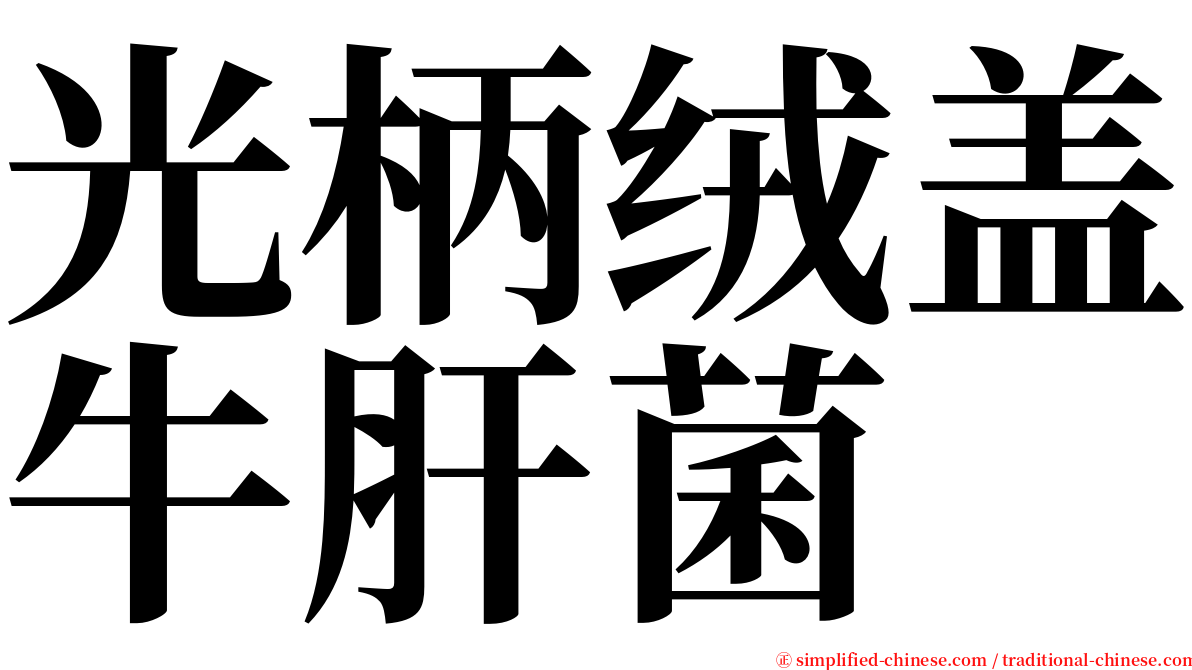 光柄绒盖牛肝菌 serif font