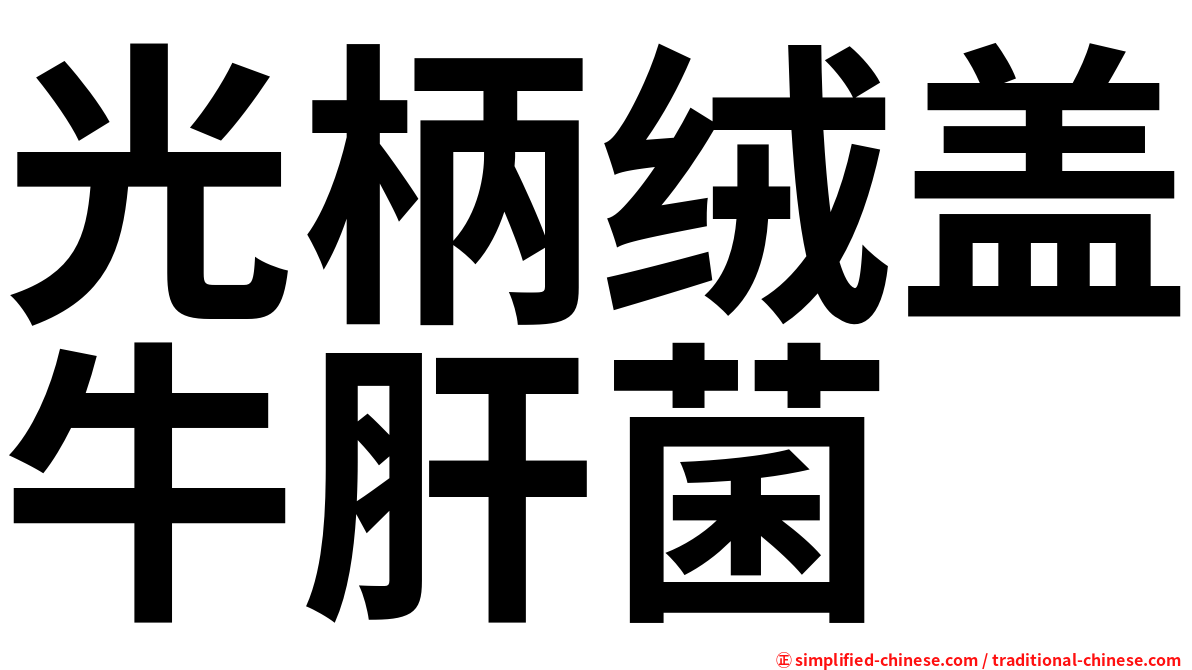 光柄绒盖牛肝菌
