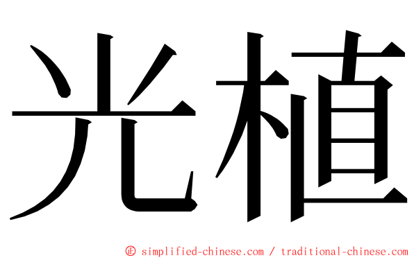 光植 ming font