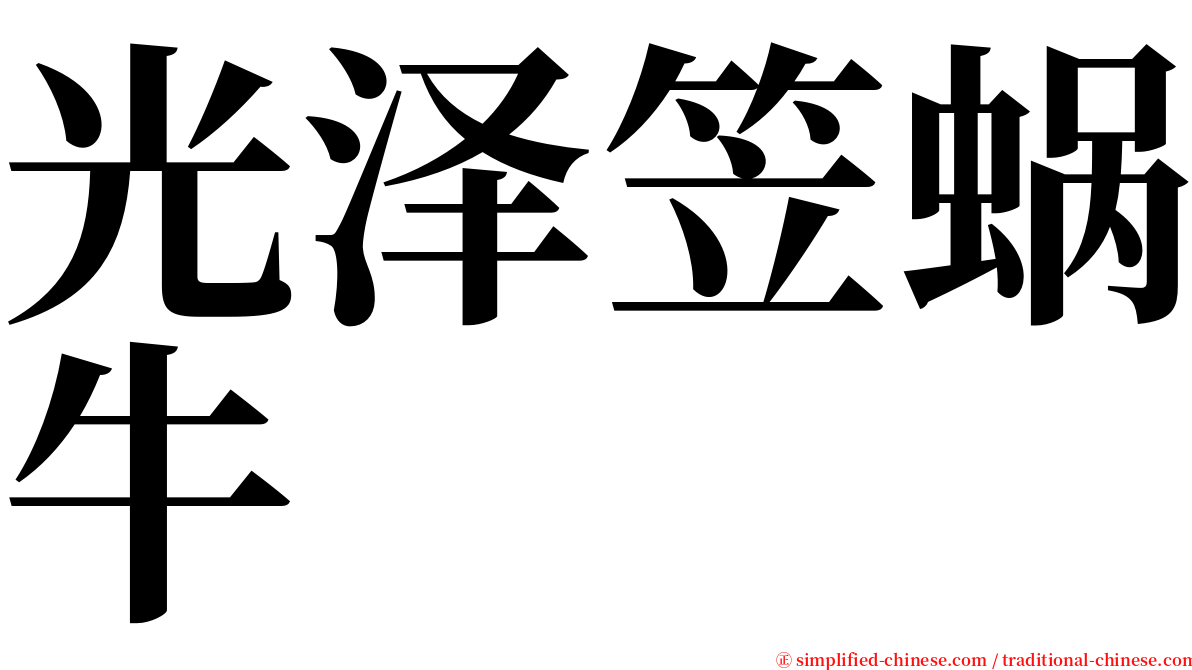 光泽笠蜗牛 serif font