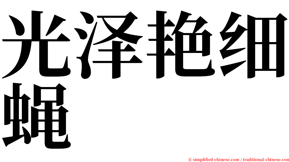 光泽艳细蝇 serif font