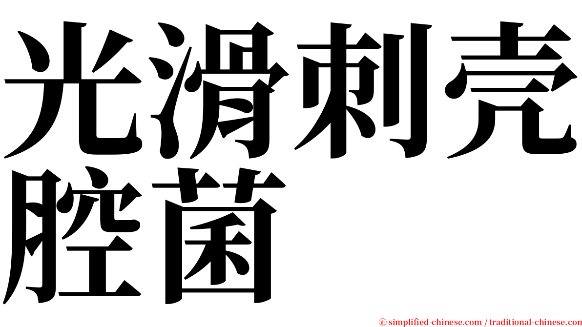 光滑刺壳腔菌 serif font