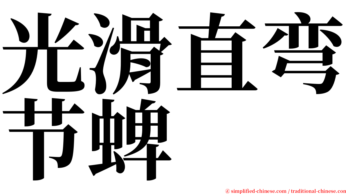 光滑直弯节蜱 serif font