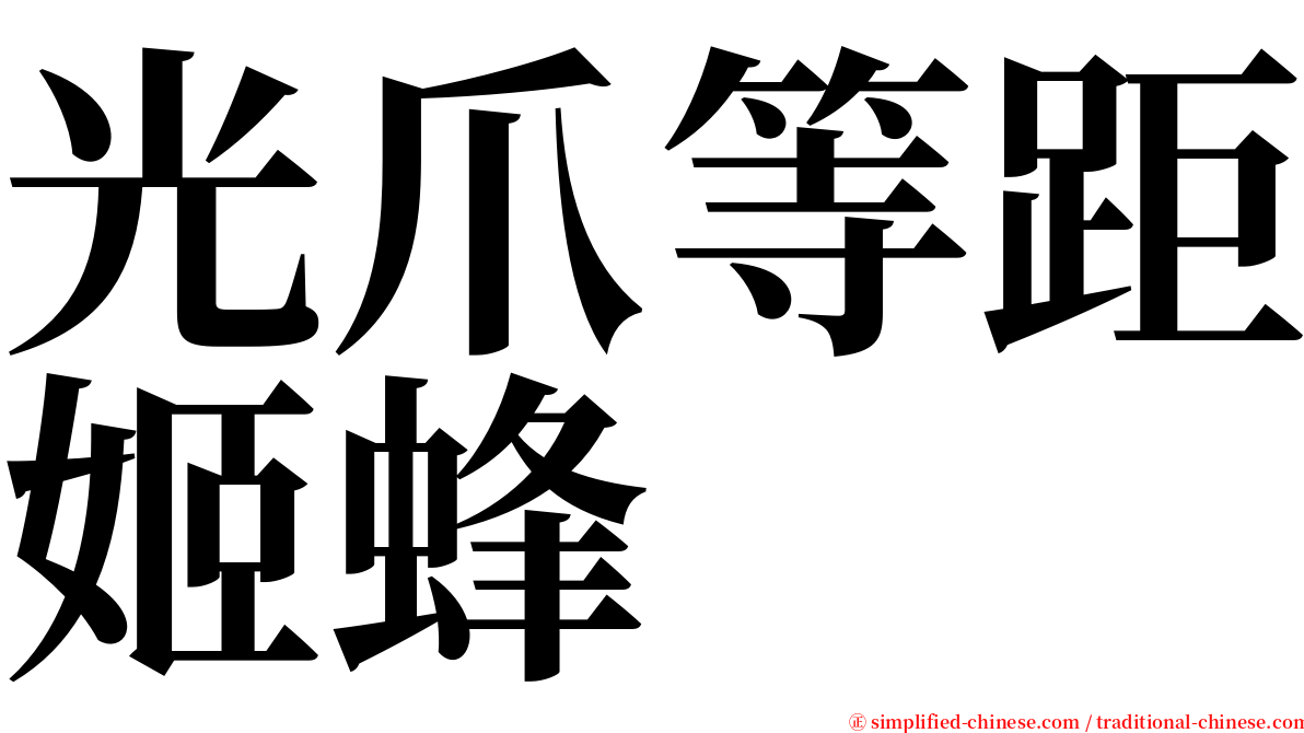 光爪等距姬蜂 serif font