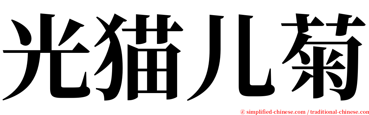 光猫儿菊 serif font