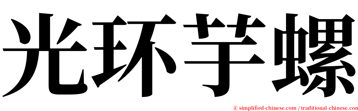 光环芋螺 serif font