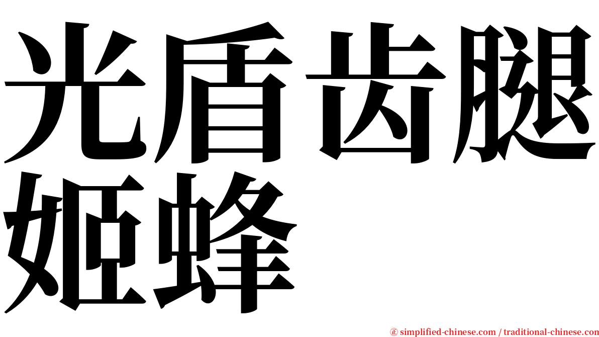 光盾齿腿姬蜂 serif font