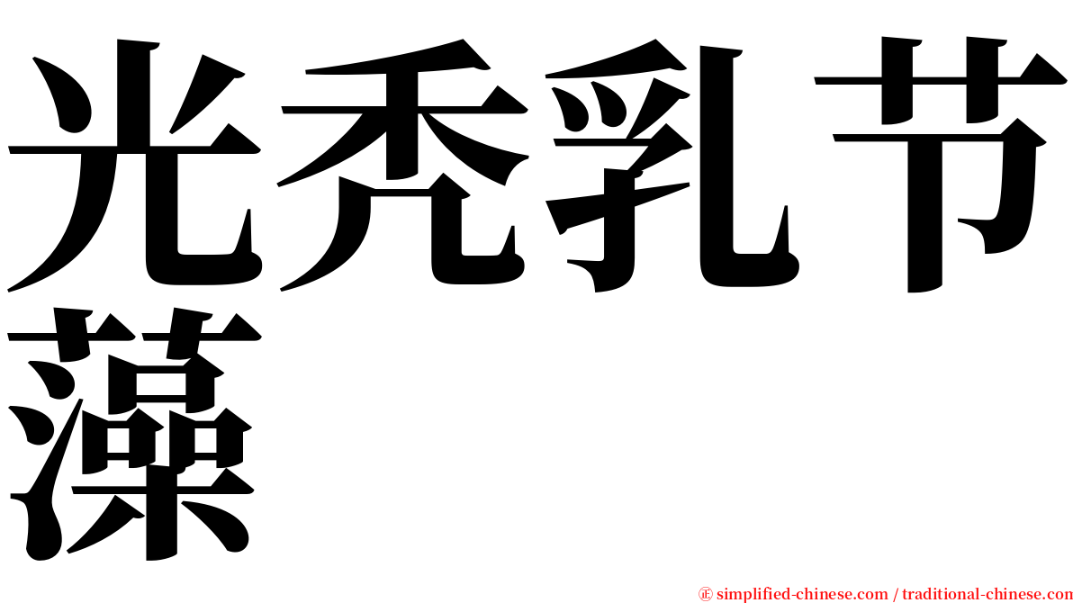 光秃乳节藻 serif font