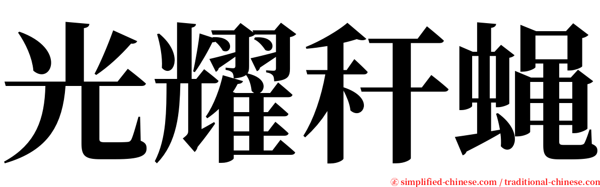 光耀秆蝇 serif font