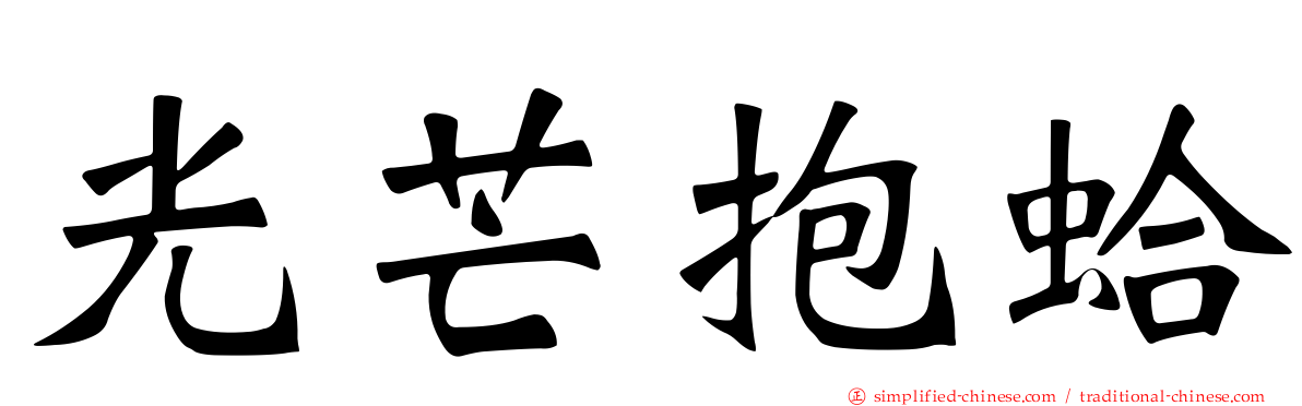 光芒抱蛤